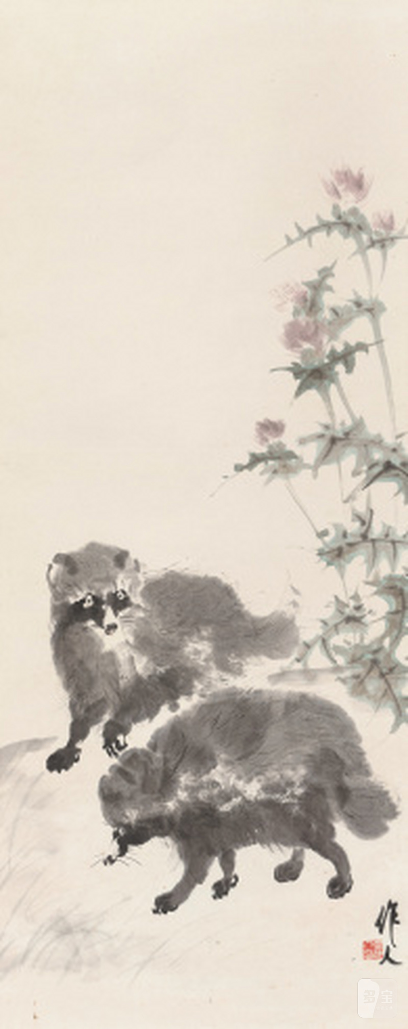 吴作人 1908-1997 浣熊